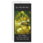 Garden Spider rack cards
