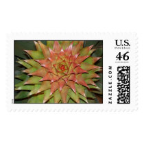 Garden Star Burst postage by Jack_of_Arts Garden Star Burst postage