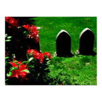 Garden & Stone Canvas Print by CemDesigns Garden & Stone Canvas Print