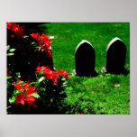 Garden & Stone Canvas Print
