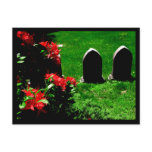 Garden & Stone Postcard