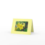 Garden Tour Cards