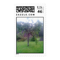 Garden Tree Stamp