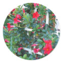 Garden Trellis stickers by Gardengate Garden Trellis stickers