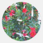Garden Trellis Sticker