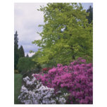 Garden Tricolor flyers