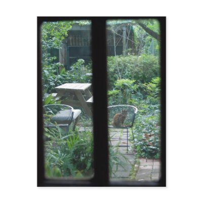Garden View ©2008 Post Cards by smilodonart