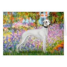 Garden - Whippet 11b Cards