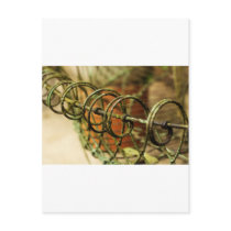 Garden Wire Basket postcards by Ljrigg Garden Wire Basket postcards