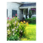 Garden with Coneflowers and Lilies Postcard