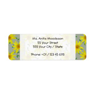 Garden Yellow Arnica Wildflower on any Color