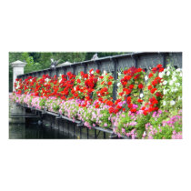 gardenbridge01 photo cards by brennaclehman gardenbridge01 photo cards