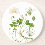Gardener Drink Coaster