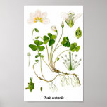 Gardener Poster