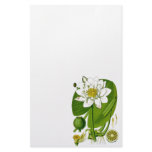 Gardener Stationery