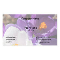 gardener's card,  white and purple crocus flowers business cards