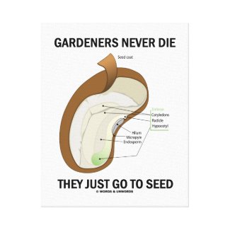 Gardeners Never Die They Just Go To Seed Bean Seed Canvas Print