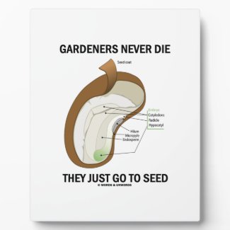 Gardeners Never Die They Just Go To Seed Bean Seed Plaques