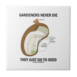 Gardeners Never Die They Just Go To Seed Bean Seed Small Square Tile