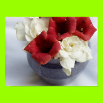 Gardenia and Trumpet Vine posters