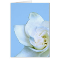 Gardenia cards by roimim Gardenia cards