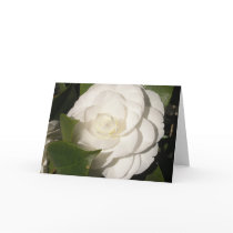 Gardenia cards