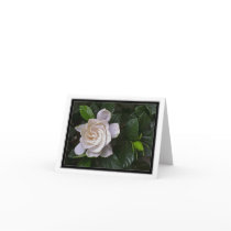 Gardenia Greeting Cards