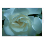 Gardenia Card