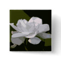 Gardenia Elegance buttons by littlewingdesign Gardenia Elegance buttons