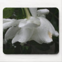 Gardenia Mouse Pad mousepads