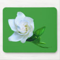 Gardenia mousepads