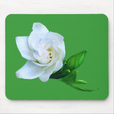 Gardenia Mouse Pads by roimim