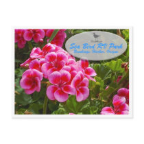 Gardenia Postcard by seabirdrv Gardenia Postcard
