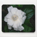 Gardenia Print Mouse Pad mousepads