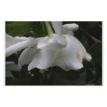 Gardenia Stationary soft elegant look Customized Stationery