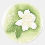 Gardenia Sticker stickers