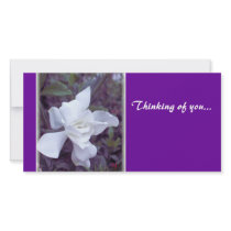 Gardenia tint Thinking of you... photo cards by dogandcatshrink Gardenia tint Thinking of you... photo cards