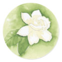 Gardenia Watercolor Sticker by DesignsbyLenila Gardenia Watercolor Sticker