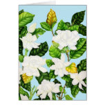 Gardenias with Blue Sky Card