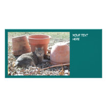 Gardening Photo Card