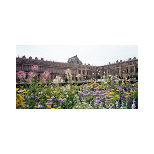 Gardens at Versailles print