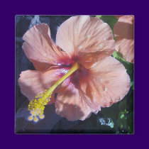 Garden's Delight magnets by JenuArt Garden's Delight magnets