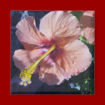 Garden's Delight magnets by JenuArt Garden's Delight magnets