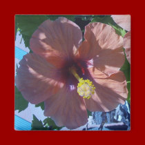 Garden's Delight magnets by JenuArt Garden's Delight magnets