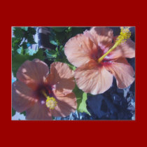 Garden's Delight postcards by JenuArt Garden's Delight postcards