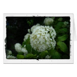 Gardens of Sweden Card
