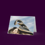 GARDER SNAKE