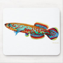 Gardneri Killifish Mousepad by twopurringcats Gardneri Killifish Mousepad