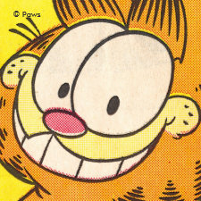 Garfield Stuff