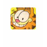 Garfield Grin, women's shirt